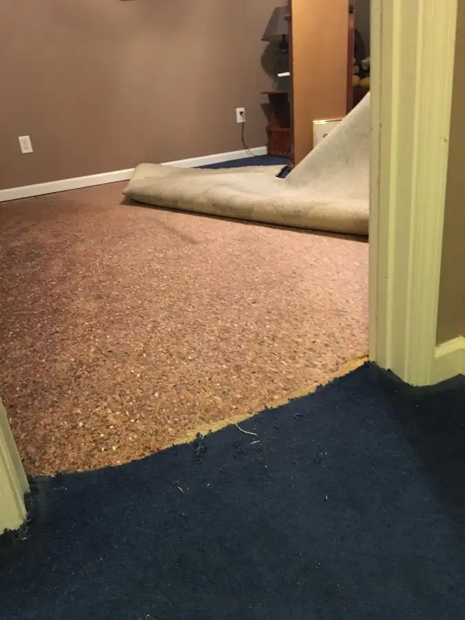 Carpet pad removal revealing water damage during Drying & Dehumidification in El Mirage