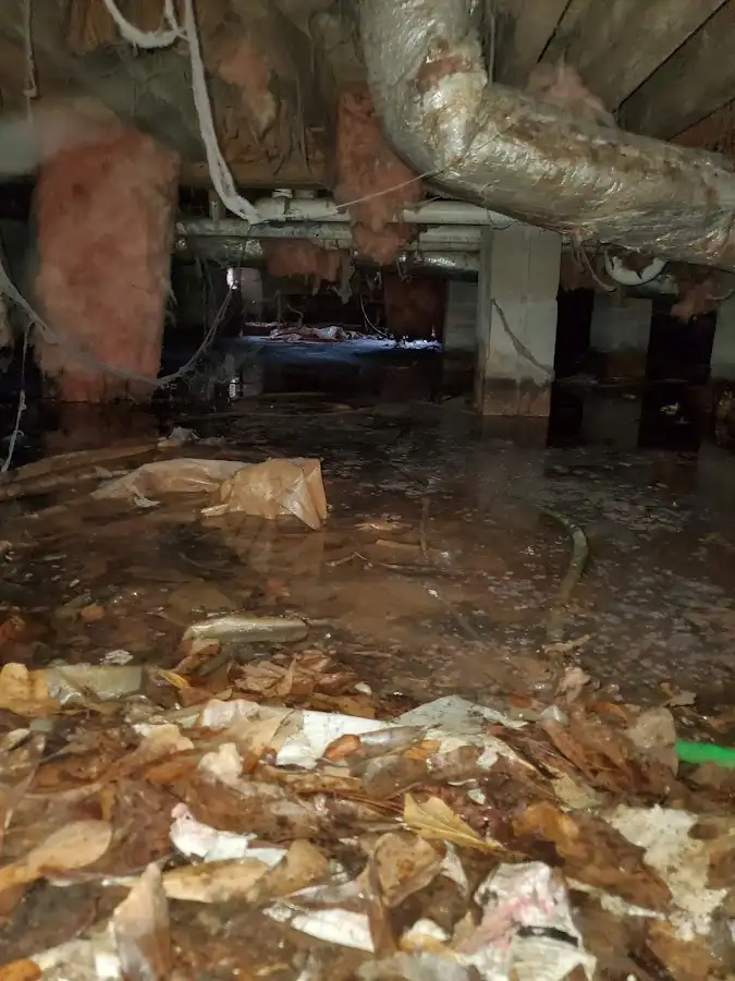 Crawl space flood assessment for Leak Detection & Repair in El Mirage